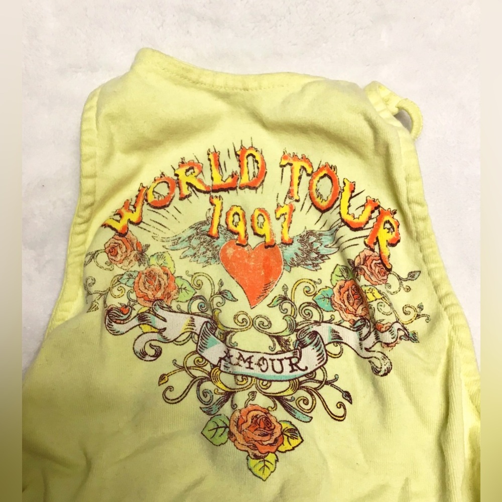 New L vintage 1997 tour crop top